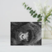BW Gorilla Face Briefkaart (Staand voorkant)