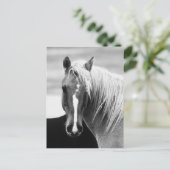 BW Horse Portret Briefkaart (Staand voorkant)
