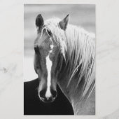 BW Horse Portret Briefpapier (Voorkant)