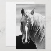 BW Horse Portret Briefpapier (Voorkant / Achterkant)