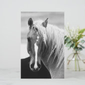 BW Horse Portret Briefpapier (Staand voorkant)