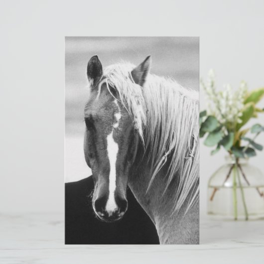 BW Horse Portret Briefpapier (Staand voorkant)