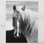 BW Horse Portret Flyer (Voorkant)