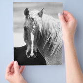 BW Horse Portret Flyer (Hand)