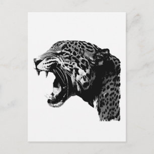 BW Jaguar Briefkaart