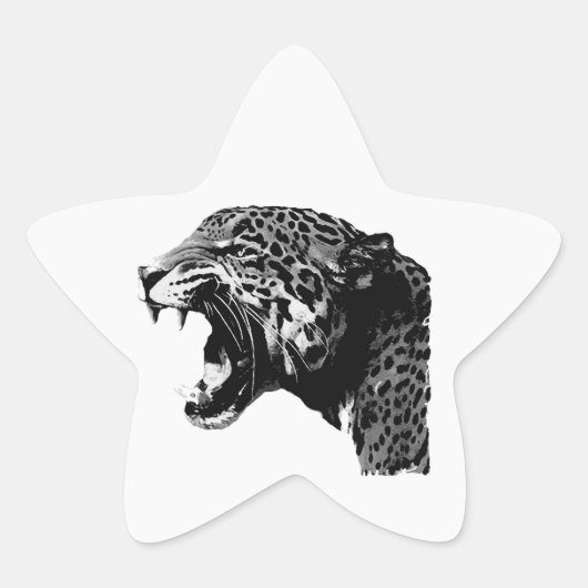 BW Jaguar Star Stickers (Voorkant)