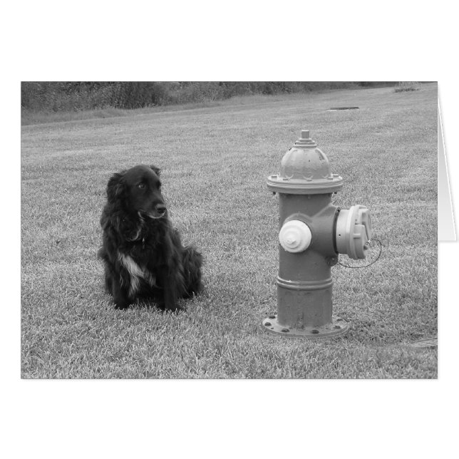 bw_jouw_draai (Voorkant Horizontaal)