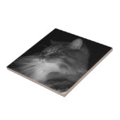 BW Kat Foto van Simba Tegeltje (Zijkant)