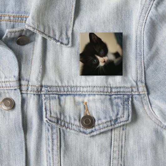 BW Kitten Button (In situ)
