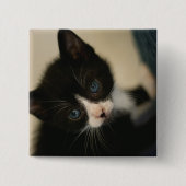 BW Kitten Button (Voorkant)