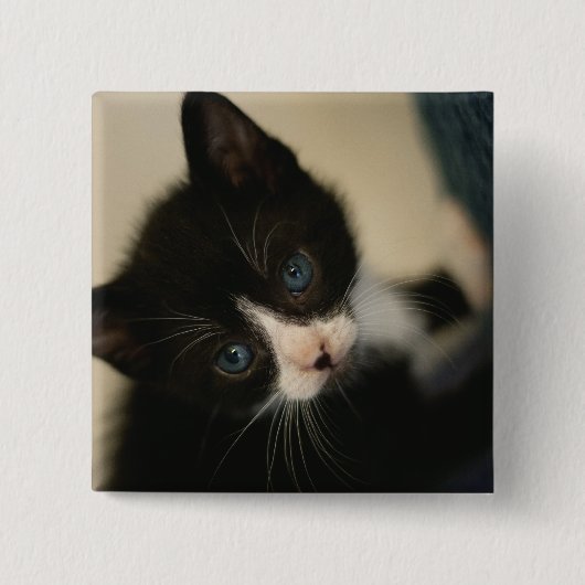 BW Kitten Button (Voorkant)