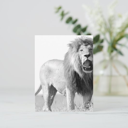 BW Lion Briefkaart (Staand voorkant)