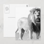 BW Lion Briefkaart (Voorkant / Achterkant)
