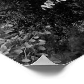 BW MONROE STREET BRIDGE VAN SPOKANE POSTER (Hoek)