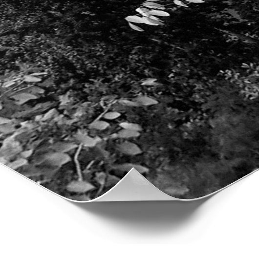 BW MONROE STREET BRIDGE VAN SPOKANE POSTER (Hoek)