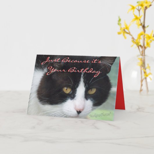 BW&MouseBday-customize Kaart (Gele Bloem)