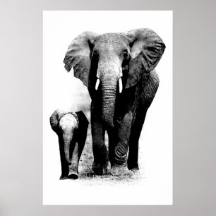 BW Olifant & Baby Olifant Poster