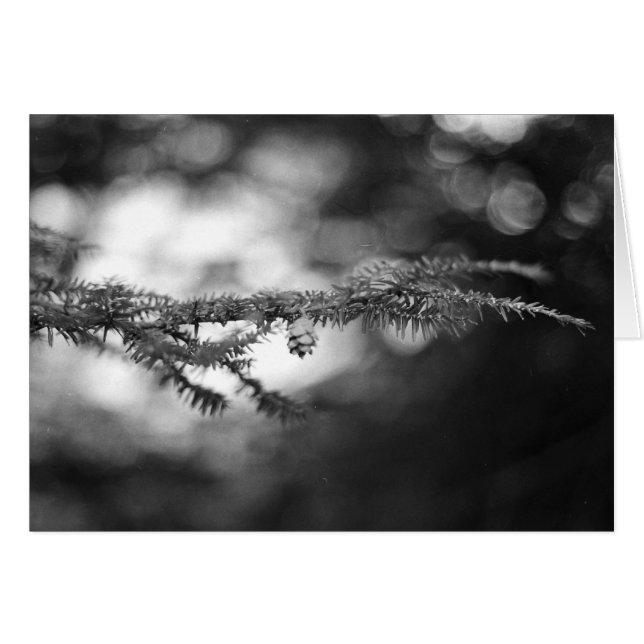 BW Pinecone-kaart (Voorkant Horizontaal)