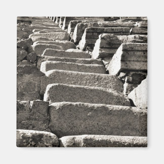 BW Pompeï Ruïnes VI Magneet