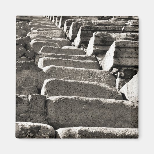 BW Pompeï Ruïnes VI Magneet (Voorkant)