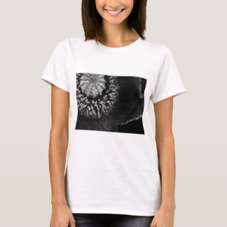 BW Poppy T-shirt