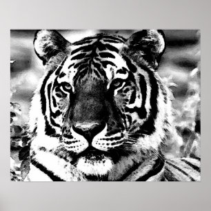 BW Poster met tijger afdrukken Pop Stijlkleuren Po