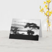 BW Sunset Kaart (Gele Bloem)