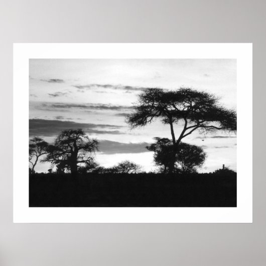 BW Sunset Poster (Voorkant)