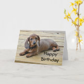 BW- Teckel Puppy Verjaardag Kaart (Gele Bloem)