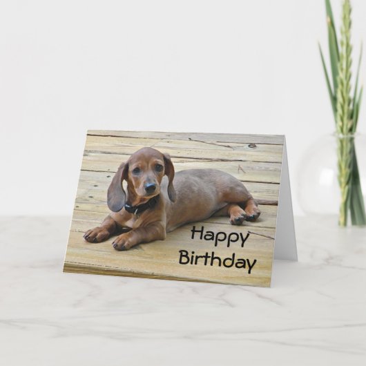 BW- Teckel Puppy Verjaardag Kaart (Voorkant)