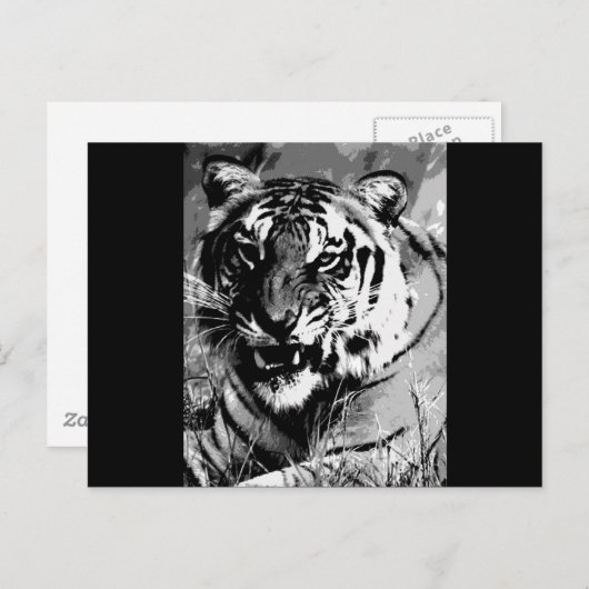 BW Tiger Briefkaart (Voorkant / Achterkant)
