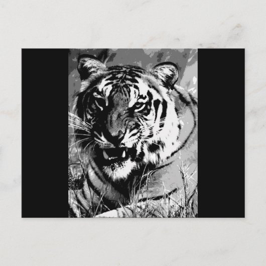 BW Tiger Briefkaart (Voorkant)