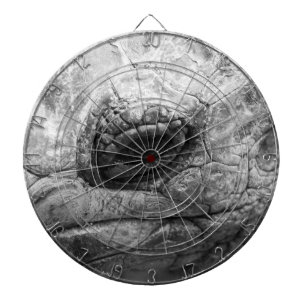 BW Tortoise Dartbord