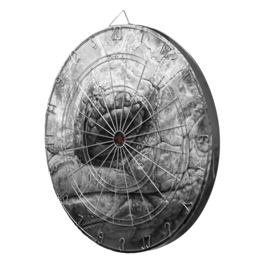 BW Tortoise Dartbord (Voorkant Rechts)