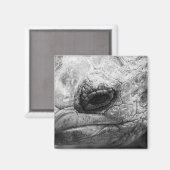 BW Tortoise Magneet (Voorkant / Achterkant)