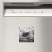 BW Tortoise Magneet (Insitu (Vaatwasser))