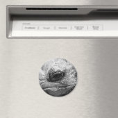 BW Tortoise Magneet (Insitu (Vaatwasser))