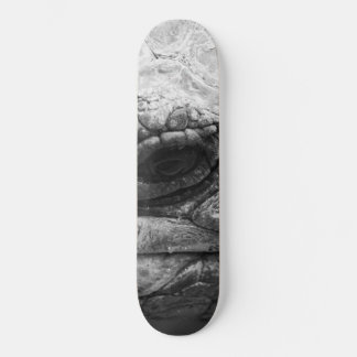 BW Tortoise Persoonlijk Skateboard