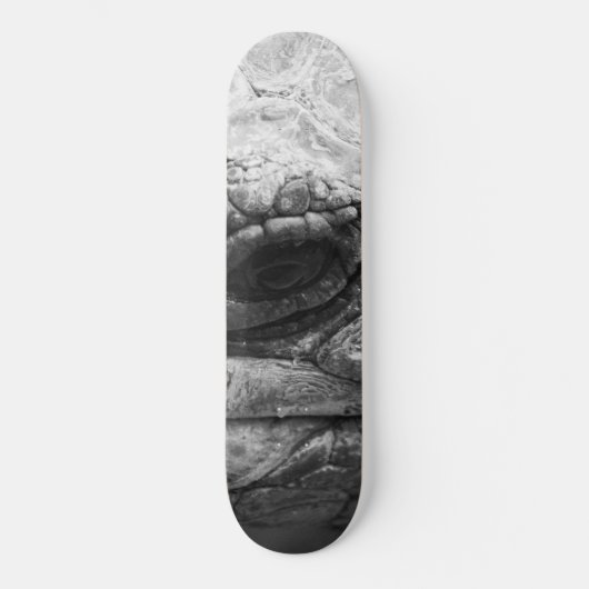 BW Tortoise Persoonlijk Skateboard (Voorkant)