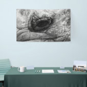 BW Tortoise Spandoek (Beurs)