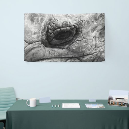 BW Tortoise Spandoek (Beurs)