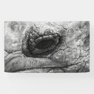 BW Tortoise Spandoek