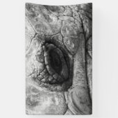 BW Tortoise Spandoek (Verticaal)