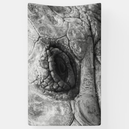 BW Tortoise Spandoek (Verticaal)