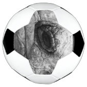 BW Tortoise Voetbal (Gedraaid)