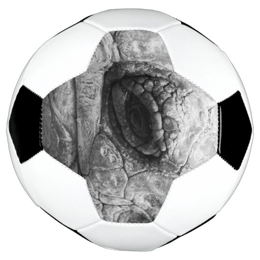 BW Tortoise Voetbal (Gedraaid)