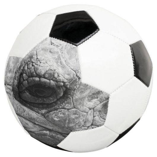 BW Tortoise Voetbal (Drie kwart)