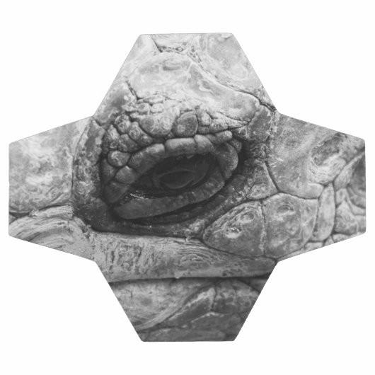 BW Tortoise Voetbal (Enkel)