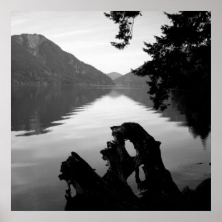 bw uitzicht 1 poster