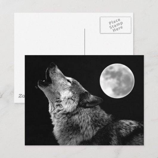 BW Wolf Howling bij Moon Briefkaart (Voorkant / Achterkant)